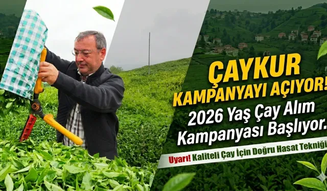 ÇAYKUR 2026 Yaş Çay Kampanyasını Açıyor