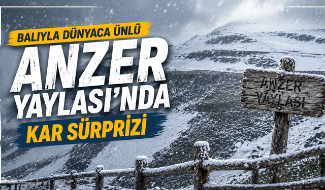 Balıyla dünyaca ünlü Anzer Yaylası'nda kar sürprizi