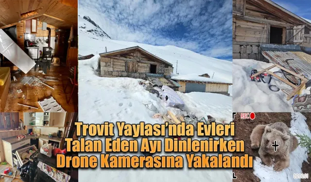 Evleri talan etti dinlenirken drone kamerasına yakalandı