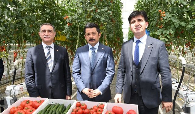 Ahi Evran Üniversitesi sera ısıtma sistemi ile Dünyaya örnek oldu