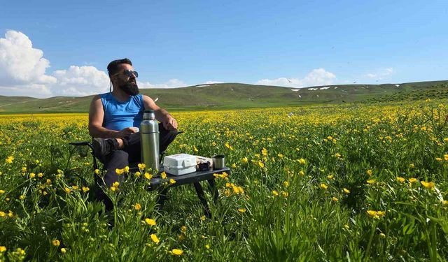 2 bin 800 yıllık tarihin izinde açan sarı çiçekler mest ediyor