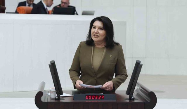 AK Parti Adana Milletvekili Karamık'tan finansal okuryazarlık vurgusu