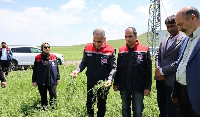 Akyaka'da dolu yağışı tarım arazilerini vurdu: Hasar tespit çalışmaları sürüyor