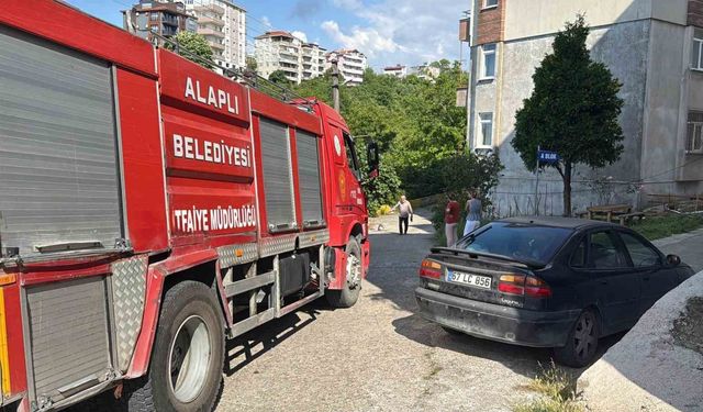Alaplı'da alev topuna dönen piknik tüpü korkuttu