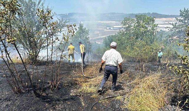 Anız yangını kontrolden çıkıp ormana sıçradı