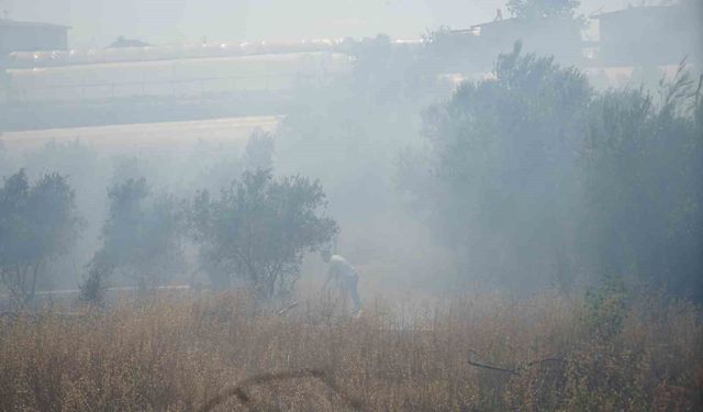 Antalya'da sera ve evleri tehdit eden yangın mahalleliyi korkuttu