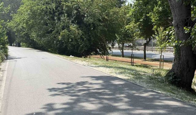 Aracında silahla vurulmuş halde ölü bulundu