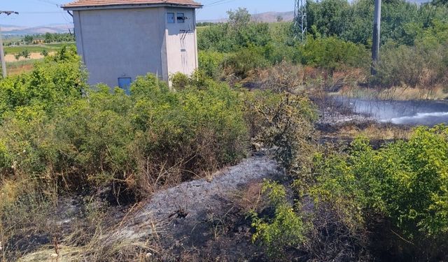 Balıkesir'de ot yangını korkuttu