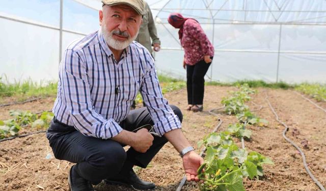 Başkan Çolakbayrakdar: 'Şehrin merkezinde tarım yapıyoruz, Türkiye'ye örnek oluyoruz'