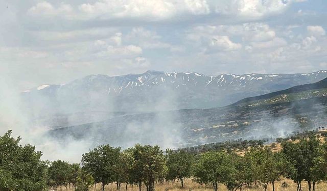 Bingöl'de çıkan orman yangını büyümeden kontrol altına alındı