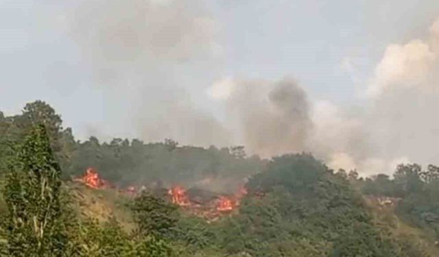 Bursa'da makilik alanda yangın