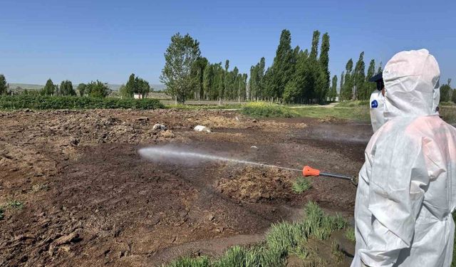 Çorum Belediyesi vektörel mücadeleyi aralıksız sürdürüyor
