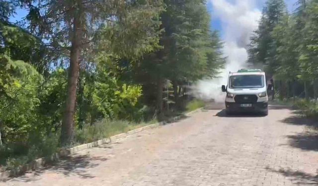 Darende'de 68 mahallede haşereyle mücadele aralıksız sürüyor