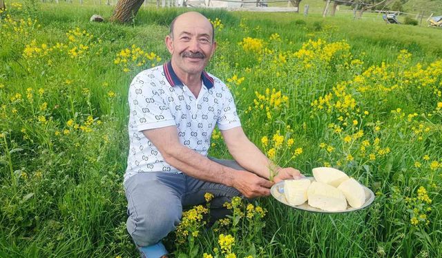 Dedelerinden kalan mirası yaşatıyorlar: Yaylada hayat başladı