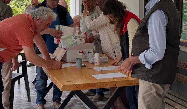 Düzce'de 72 bin metruk bina ilaçlandı