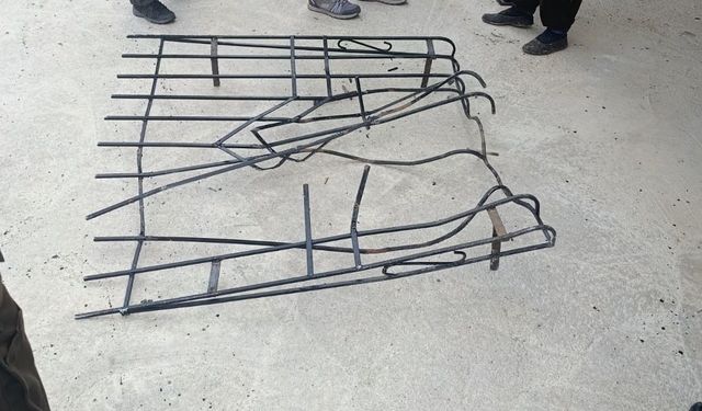 Giresun'da ayı alarmı