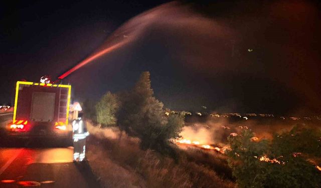 Hatay'da anız yangını zeytinliğe sıçradı: 200 dönüm arazi zarar gördü