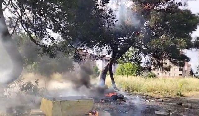 Hurda atık yangını yarım asırlık ağacı küle çevirdi