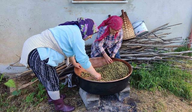 Karadeniz'de dut pekmezi mesaisi başladı: Kazanlar şifa için kaynıyor