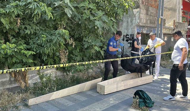 Kaybolan kedisini ararken ceset buldu