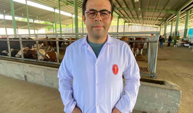 Kene tehdidine dikkat: 200'den fazla hastalık etkeni taşıyabiliyor
