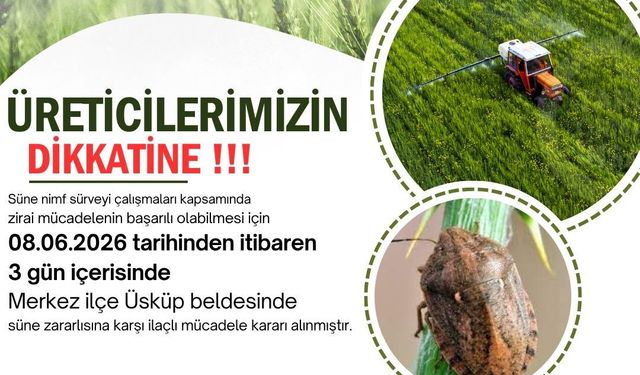 Kırklareli'nde süne alarmı: Üreticilere 3 günlük ilaçlama çağrısında bulunuldu