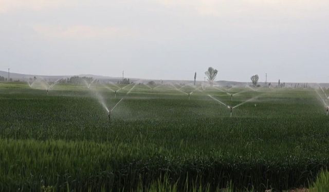 Konya'da yer altı suyu kullanımında düşüş, barajlardaki doluluk sevindiriyor