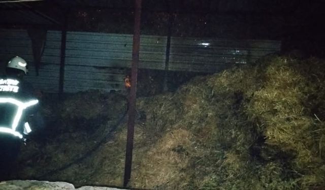 Kumlu'da samalık yangını