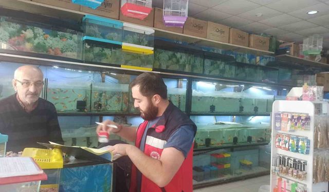 Kütahya'da ev hayvanı satış yerlerinde denetim