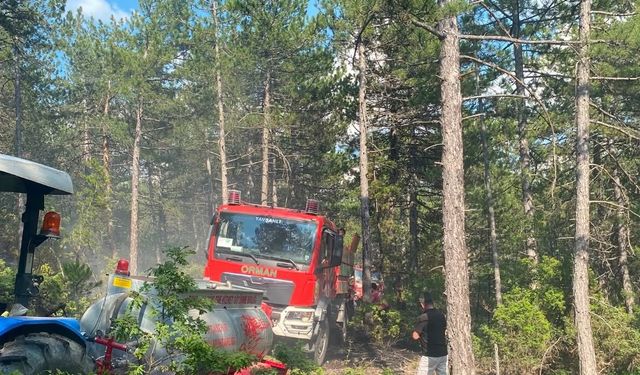 Kütahya'da yıldırım orman yangınına neden oldu
