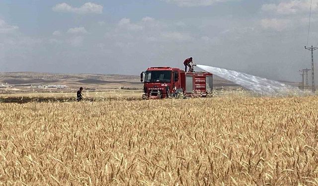Mardin'de yaklaşık 300 dönüm ekili alan alevlere teslim oldu