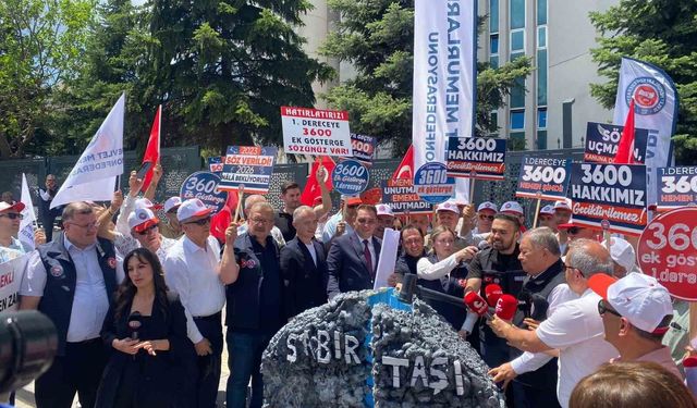 Memurlar taleplerini 'sabır taşı' ile dile getirdi