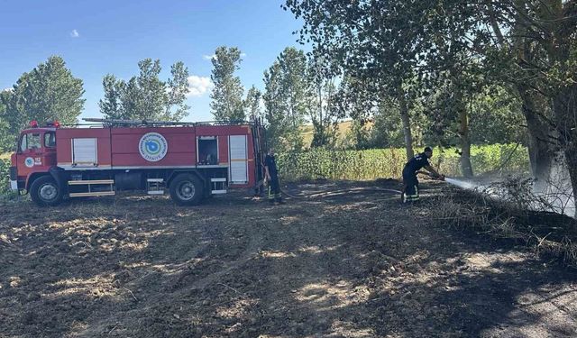 Muratlı'da buğday tarlasında yangın