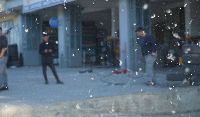 Muş'ta kavak polenleri esnafı olumsuz etkiliyor