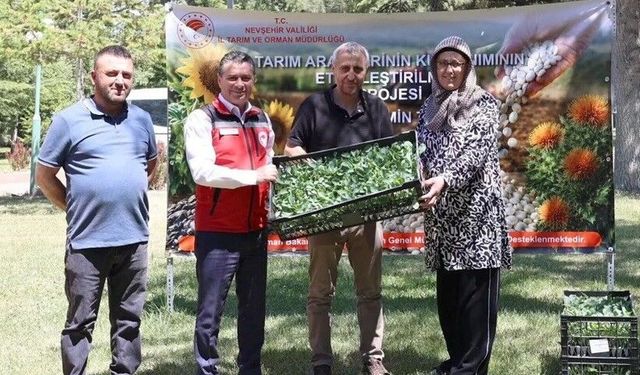Nevşehir'de üreticilere yüzde 75 hibeli karnabahar ve brokoli fidesi dağıtıldı