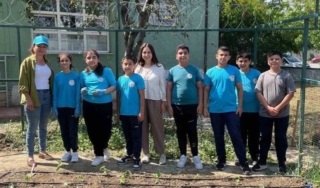 Öğrenciler kendi bitkilerini yetiştirecek
