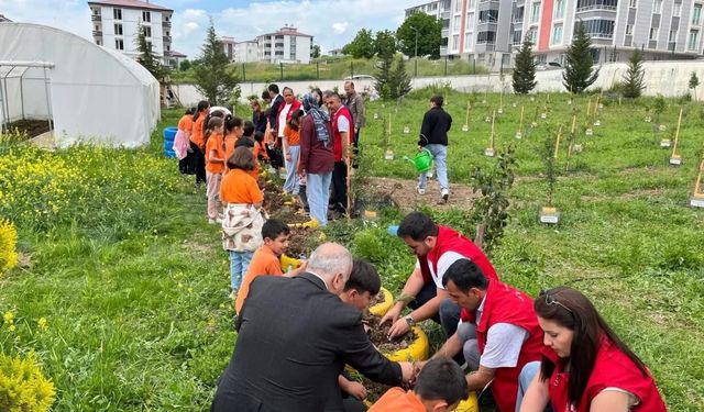 Öğrenciler yetiştirdikleri fideleri toprakla buluşturdu