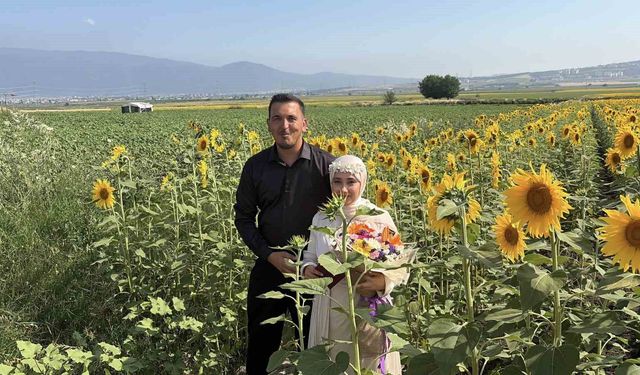 Osmaniye'de ayçiçeği tarlaları yeni evli çiftlerin gözdesi oldu