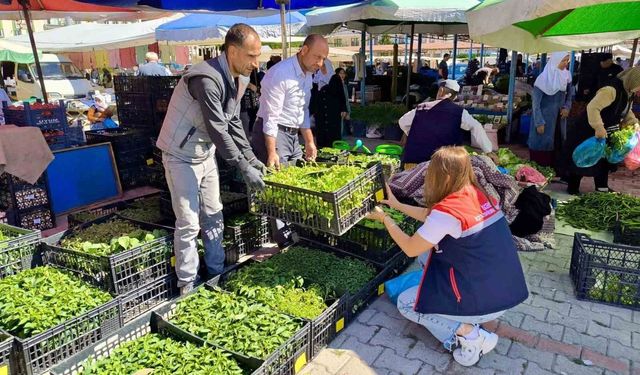 Pazarlarda satılan tohum ve fideler kontrol edildi