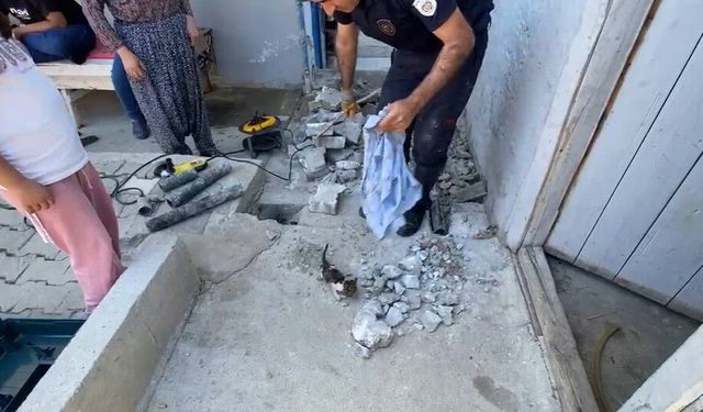 Plastik boruya sıkışan yavru kedi itfaiye ekiplerince kurtarıldı