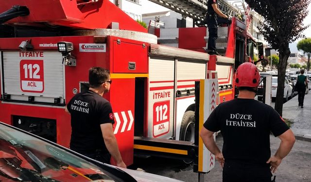 Sahibinin omzunda gezerken korkup kaçan papağanın imdadına itfaiye yetişti