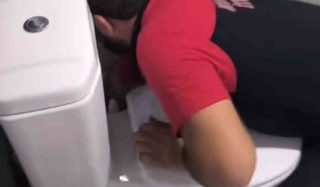Siirt'te lavabo gider borusuna sıkışan 2 yavru kedi itfaiye ekiplerince kurtarıldı