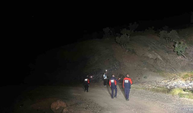 Siirt'yte kaybolan çoban için arama çalışmaları başlatıldı