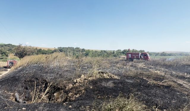Silivri'de otluk alanda çıkan yangın söndürüldü