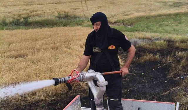 Silvan'da 2 dönümlük ekili alan kül oldu