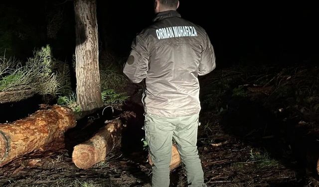 Sinop ormanları gece-gündüz koruma altında