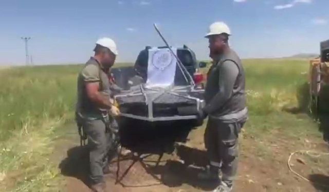 Şırnak'ta göç yolundaki leyleklere güvenli yuva