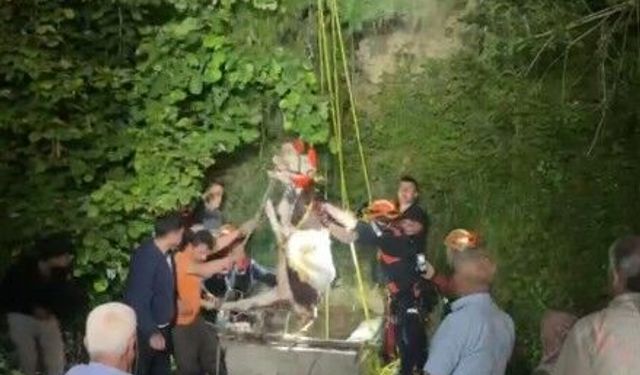 Su kuyusuna düşen inek, saatler süren çalışma sonrasında kurtarıldı