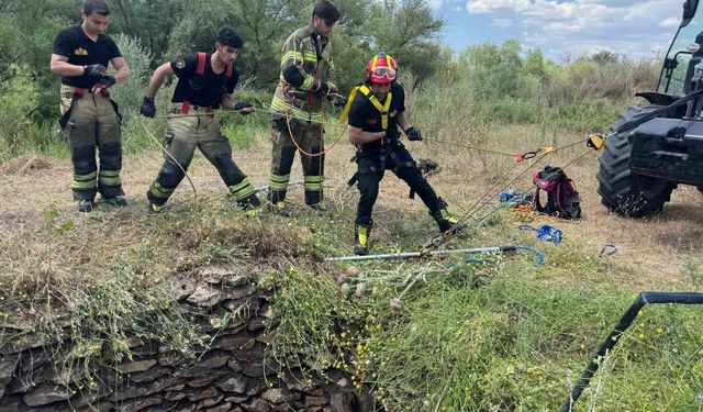 Su kuyusuna düşen yaban domuzu, itfaiye ekiplerince kurtarıldı
