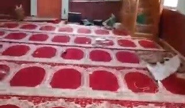 Tahrip edilen köy camisi belediye ekiplerince yeniden ibadete hazır hale getirildi